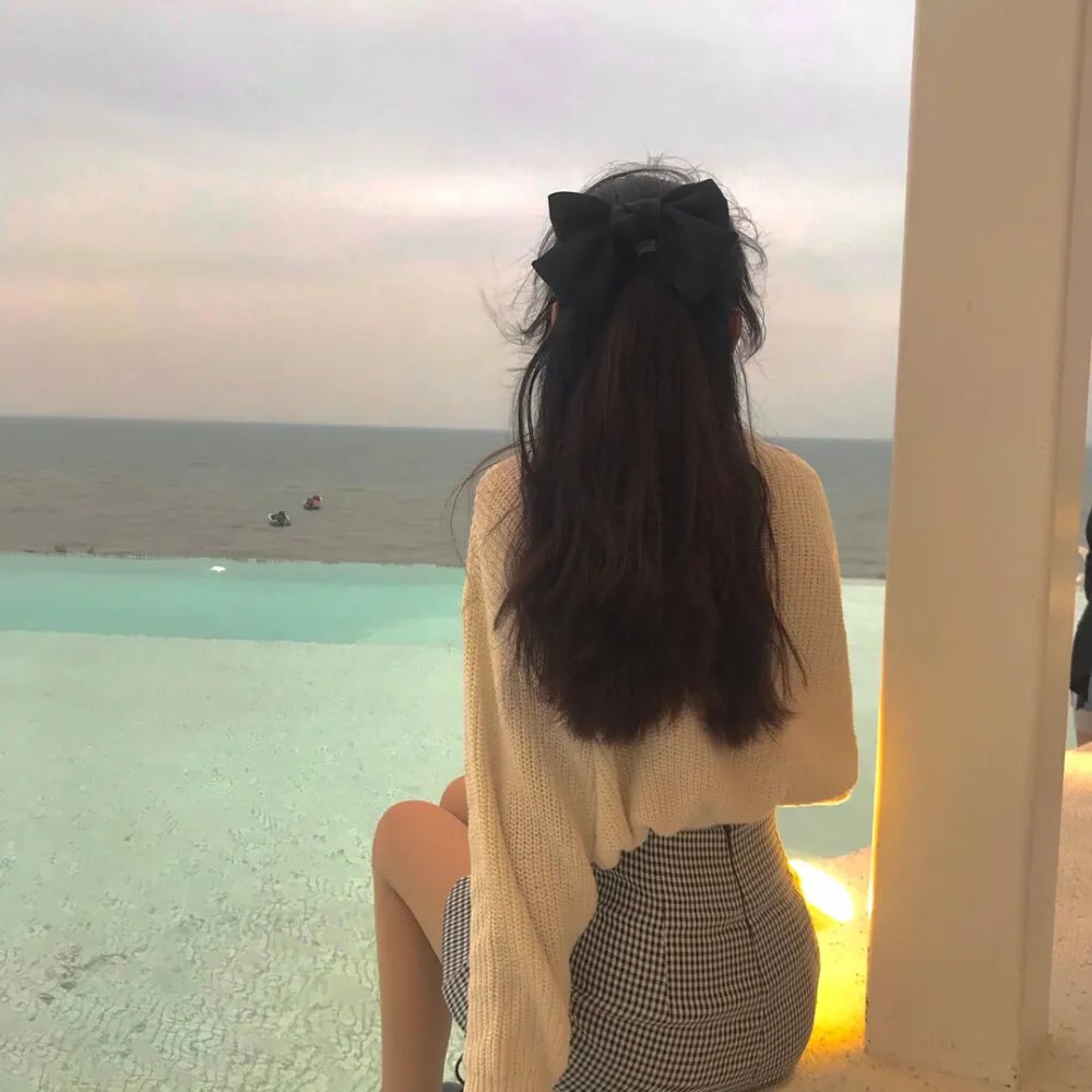 飞燕迎春