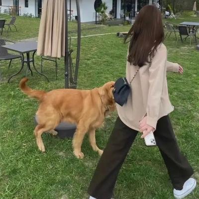 另一个美丽妻子